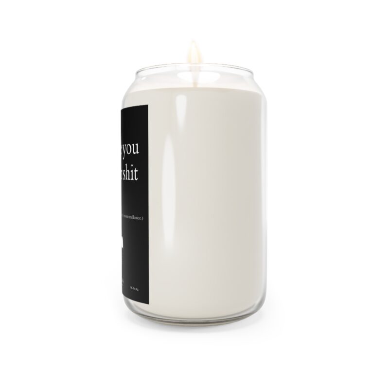 Smell like you have your shit together. (Even if the rest of your life is in chaos, at least the room smells nice.) Candle Gift, 13.75oz - Image 2